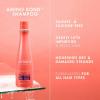 Nexxus Bond Repair Shampoo & Conditioner Bundle Amino Bond 2 Pack for All Types of Damaged Hair, with Keratin Protein and Amino Acids, 13.5 oz,(Amino Bond)