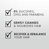 Nexxus Clean and Pure Clarifying Shampoo and Conditioner 2-Pack With ProteinFusion, for Nourished Hair Paraben Free 33.8 oz(Regimen Set)